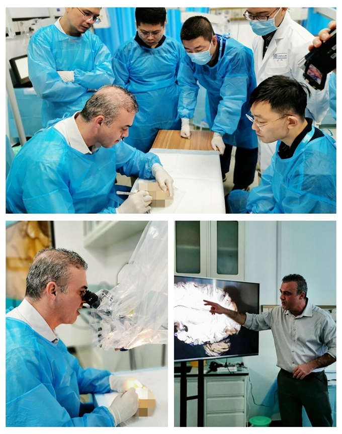 纖維束解剖展示教學.jpg