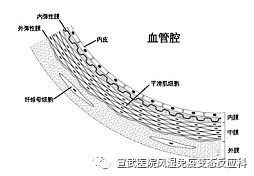 微信圖片_20200720094644.png