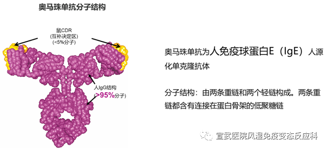 微信圖片_20200720101038.png