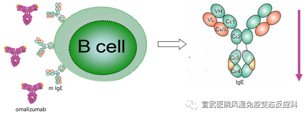 微信圖片_20200720101048.png
