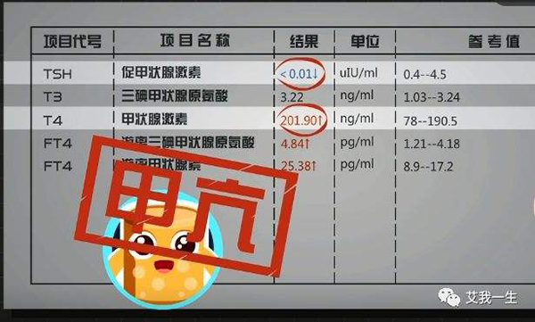 圖片22.jpg