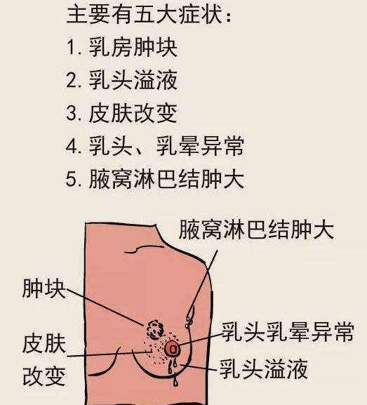 圖片31.jpg
