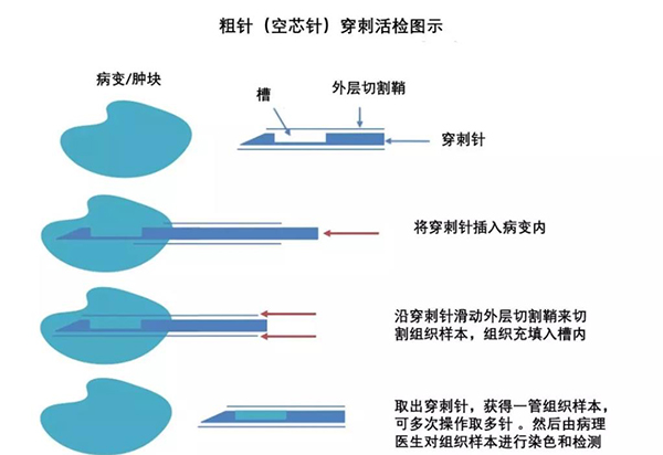 圖片35.jpg