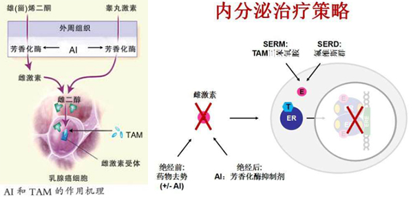 QQ截圖20210107175409.jpg