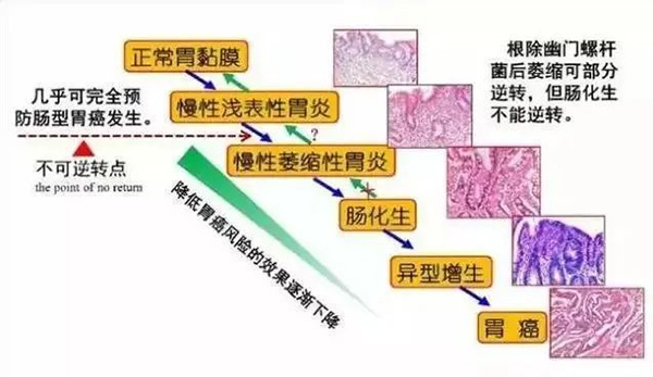 圖片29.jpg