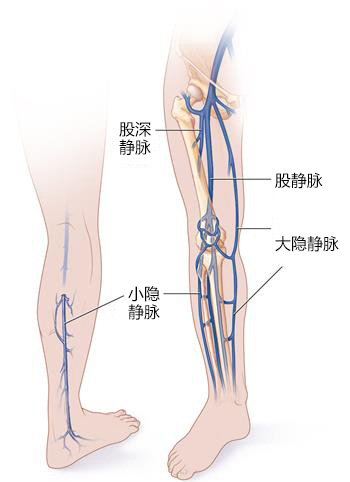 圖片2.jpg