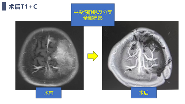 微信圖片_20240712175645.jpg