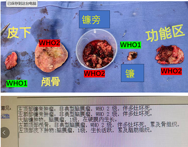 微信圖片_20240712175650.jpg
