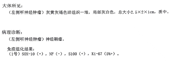 微信圖片_20240924154139.jpg