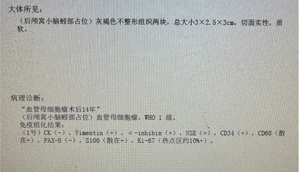 微信圖片_20240925101128.jpg