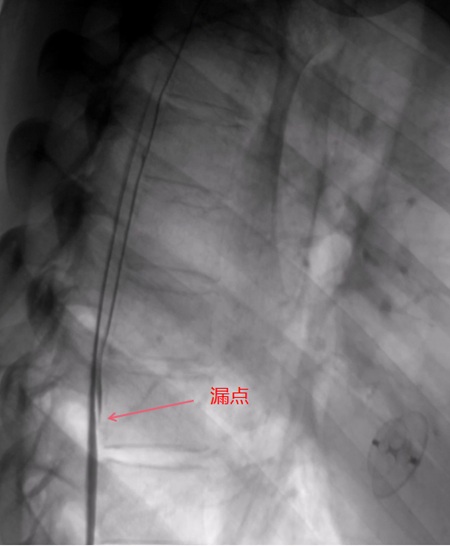 微信圖片_2025-05-26_091238_010.jpg